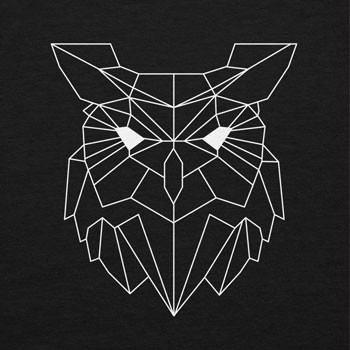 Geometric Owl