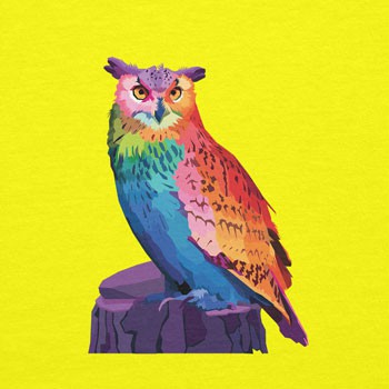 Neon Owl