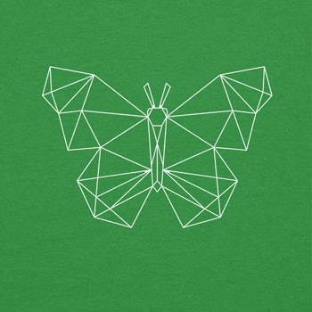 Geometric Butterfly
