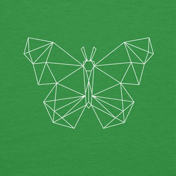 Geometric Butterfly